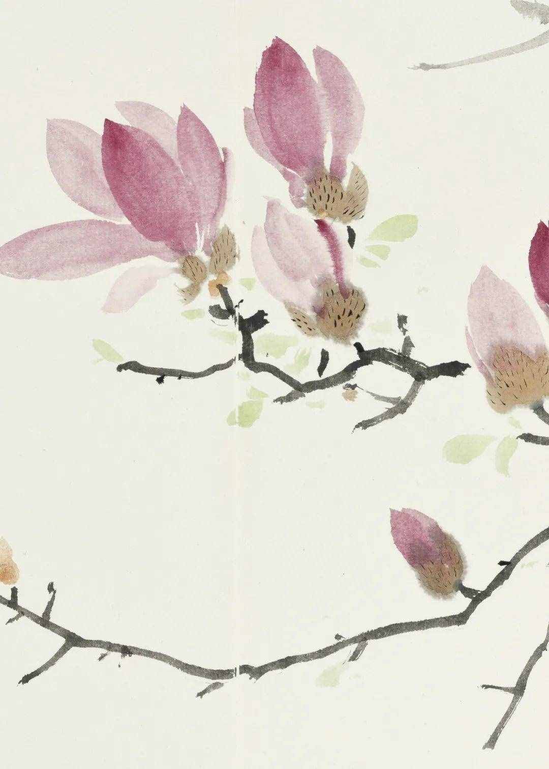 李亞筆下的草蟲丨私享·藝術(shù)家