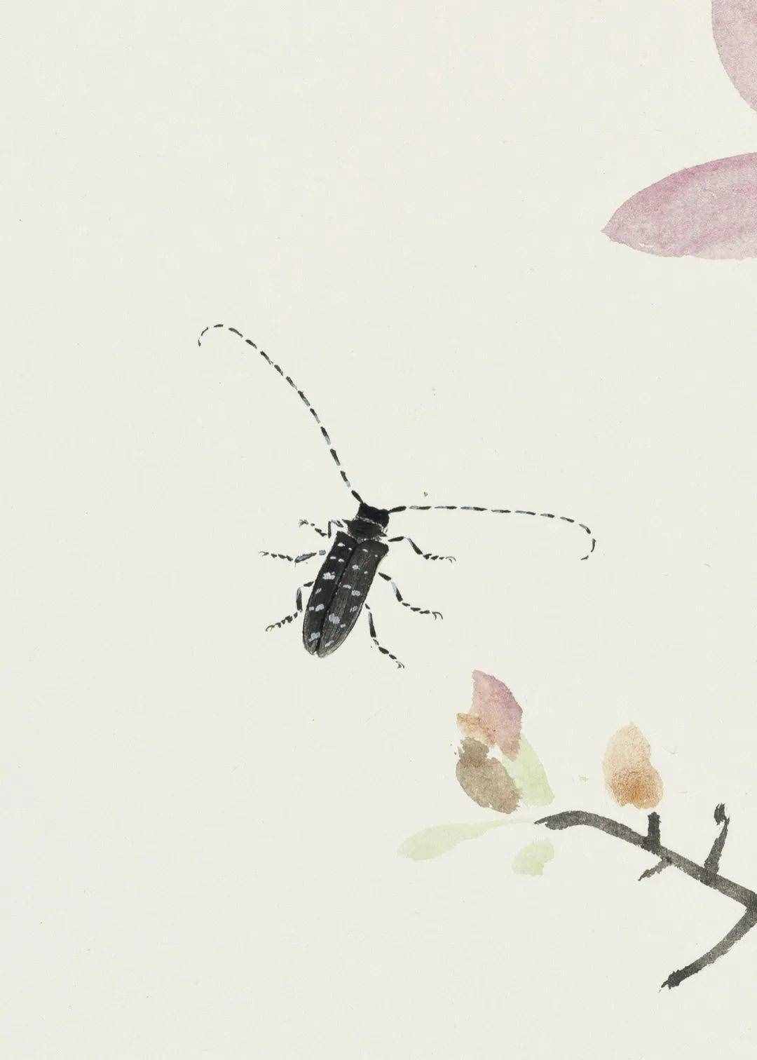 李亞筆下的草蟲丨私享·藝術(shù)家