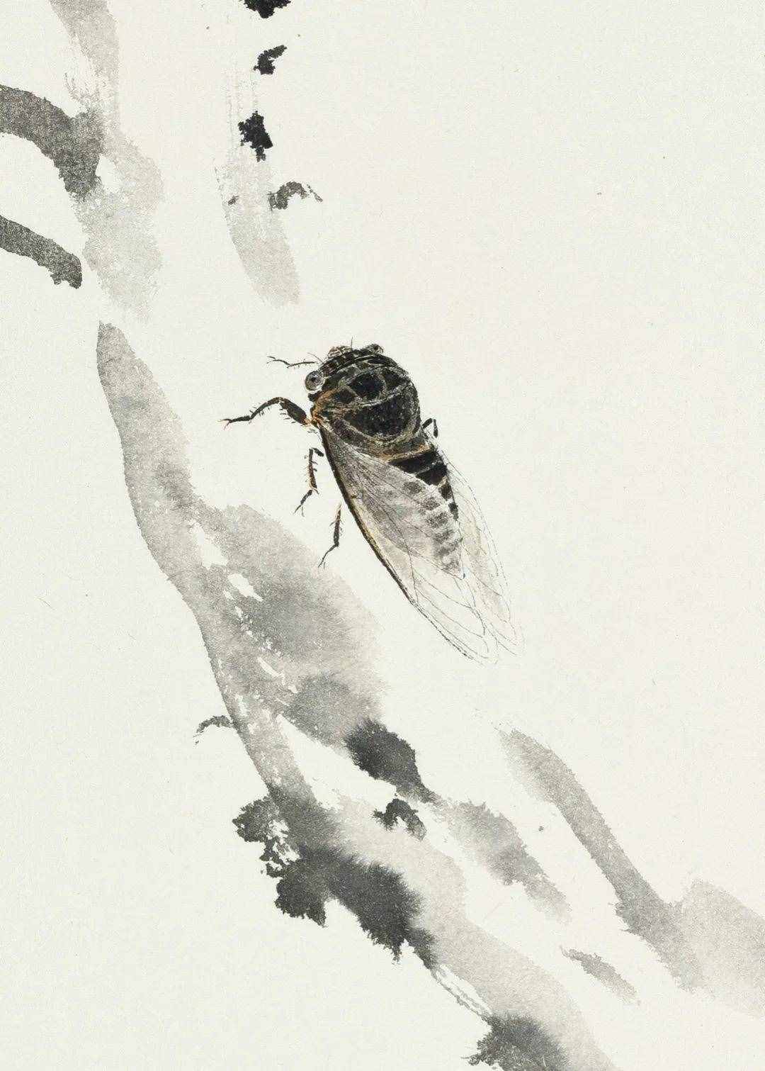 李亞筆下的草蟲丨私享·藝術(shù)家