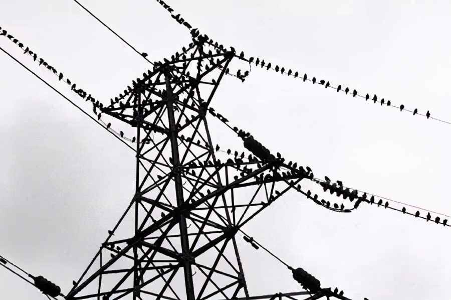 為什么小鳥站在高壓線上不會觸電