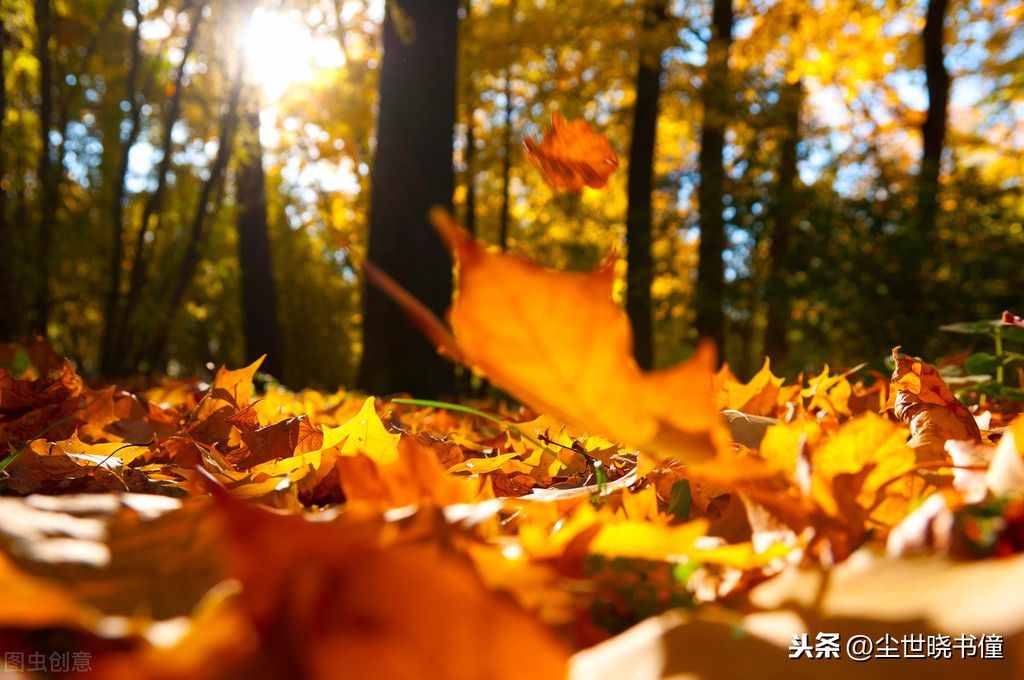 葉紹翁另一首經(jīng)典七絕《夜書所見(jiàn)》，通篇意境凄美，同樣入選課本