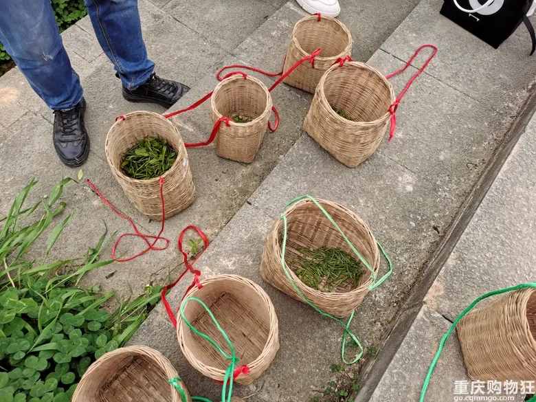重慶這個茶園號稱“中國版斯里蘭卡”，可采茶制茶，風(fēng)景如畫