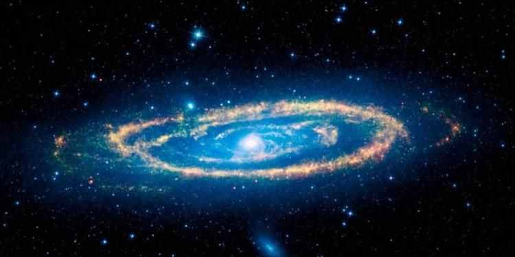 一日一詞：star 除了星星還有什么意思