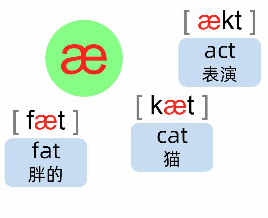 英語(yǔ)音標(biāo)88分好資料，這20個(gè)音標(biāo)叫元音，朗讀單詞更好學(xué)