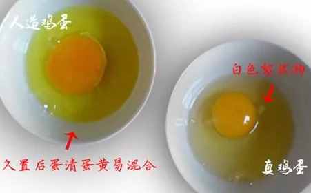 如何辨別“真假”雞蛋？教你5個(gè)方法，不怕買(mǎi)到假雞蛋