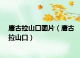 唐古拉山口圖片（唐古拉山口）