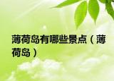 薄荷島有哪些景點(diǎn)（薄荷島）