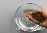 葡萄干怎么洗（葡萄干不要直接吃很臟）