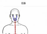 十四正經(jīng)（十四正經(jīng)的循行路線）