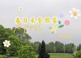 重慶茶園（重慶這個茶園）