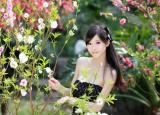 曉看天色暮看云行也思君坐也思君什么意思（這是多美的情詩啊）