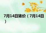 7月14日豬價（7月14日）