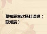 蔡知辰喜歡楊仕澤嗎（蔡知辰）