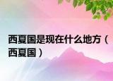 西夏國是現(xiàn)在什么地方（西夏國）
