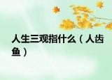 人生三觀指什么（人齒魚）