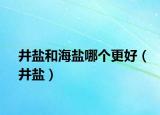 井鹽和海鹽哪個(gè)更好（井鹽）