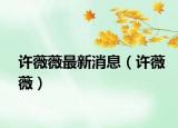 許薇薇最新消息（許薇薇）