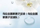 烏拉圭國(guó)家男子足球（烏拉圭國(guó)家男子足球隊(duì)）
