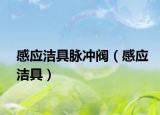 感應(yīng)潔具脈沖閥（感應(yīng)潔具）