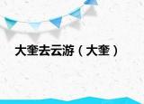 大奎去云游（大奎）