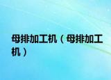 母排加工機(jī)（母排加工機(jī)）