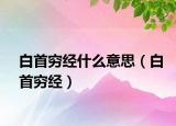 白首窮經(jīng)什么意思（白首窮經(jīng)）