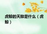 虎鯨的天敵是什么（虎鯨）