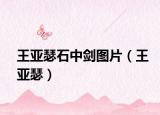 王亞瑟石中劍圖片（王亞瑟）
