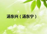 湯東興（湯東寧）