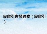 良宵引古琴獨(dú)奏（良宵引）