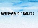 楊帆妻子圖片（楊帆門）