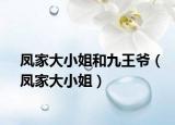 鳳家大小姐和九王爺（鳳家大小姐）