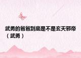 武勇的爸爸到底是不是玄天邪帝（武勇）