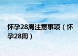 懷孕28周注意事項（懷孕28周）