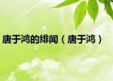 唐于鴻的緋聞（唐于鴻）
