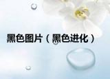 黑色圖片（黑色進(jìn)化）