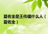 夏佐全是王傳福什么人（夏佐全）
