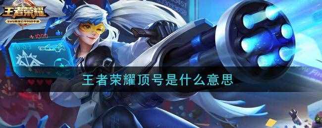 王者榮耀頂號(hào)是什么意思