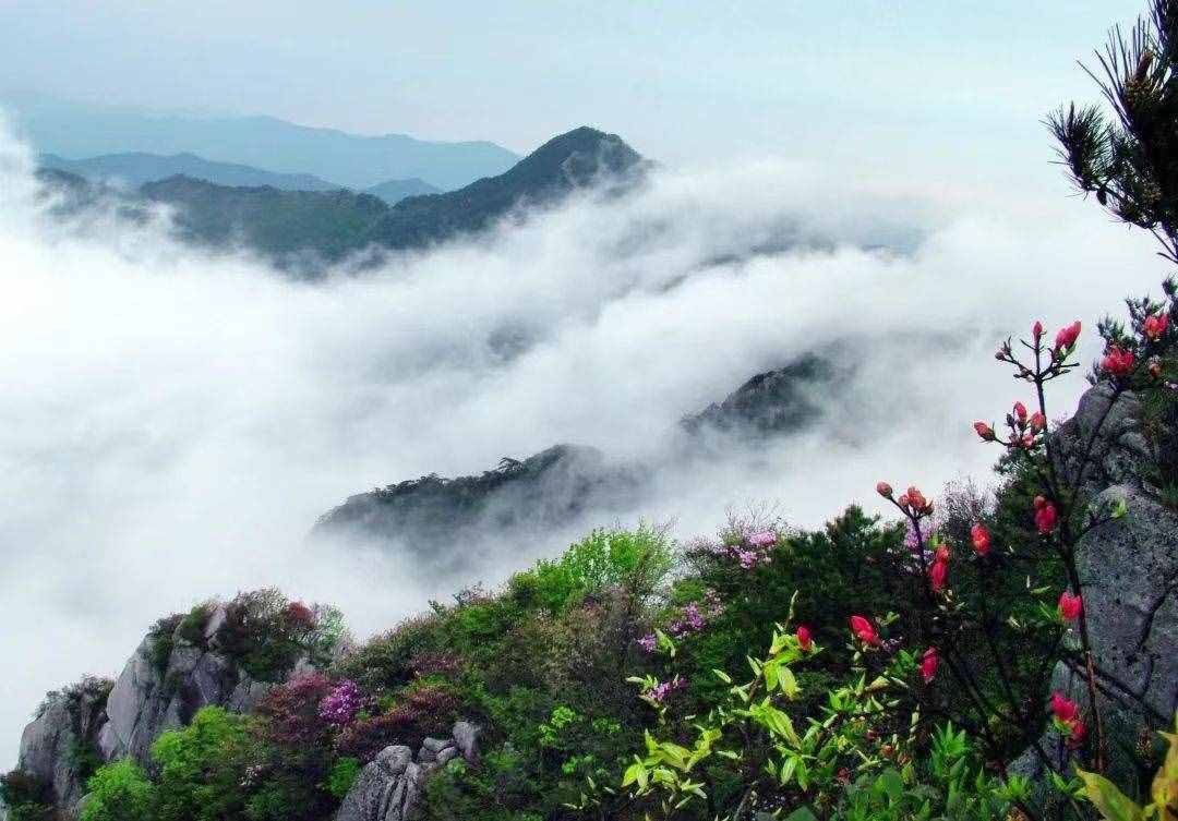 「暑期預(yù)習(xí)」部編版七年級語文上冊讀讀寫寫及注音