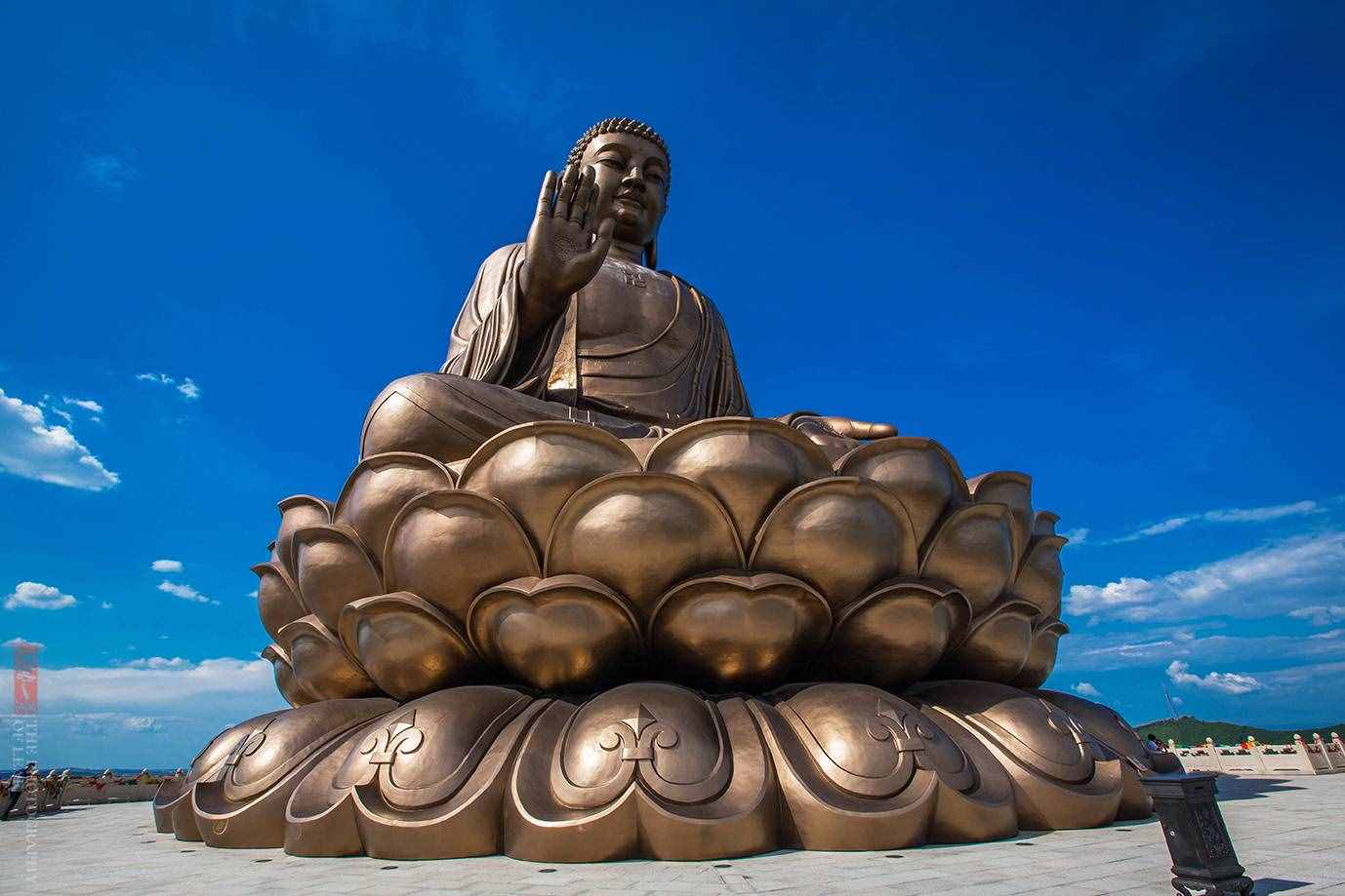 世界最大釋迦牟尼坐佛原來在這里，還能親眼目睹佛祖真身舍利