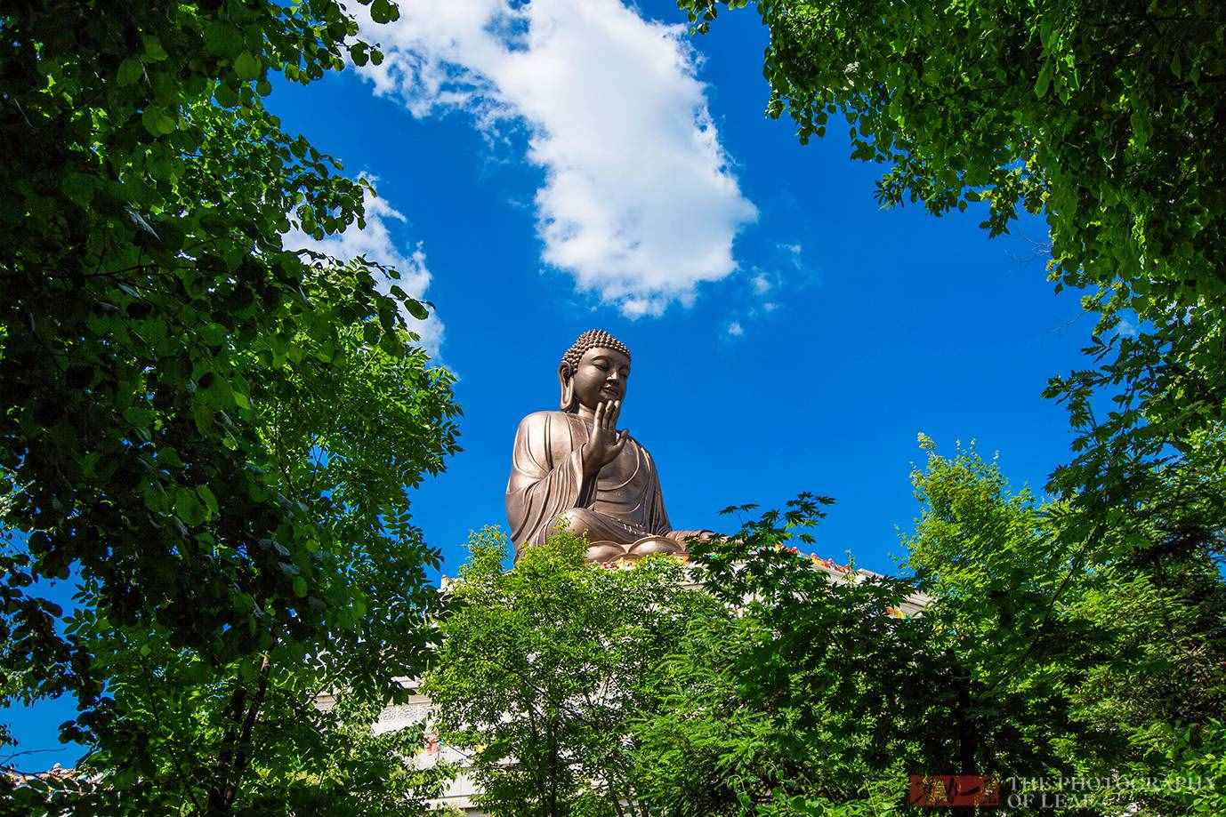 世界最大釋迦牟尼坐佛原來在這里，還能親眼目睹佛祖真身舍利