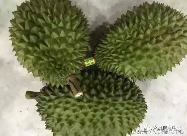 史上最全榴蓮品種產(chǎn)地分類大全