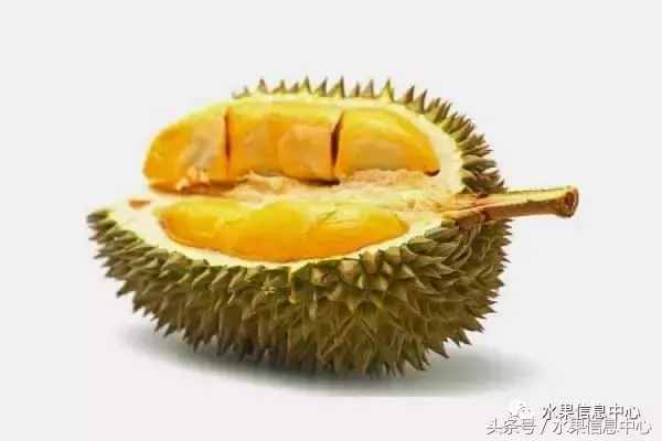 史上最全榴蓮品種產(chǎn)地分類大全