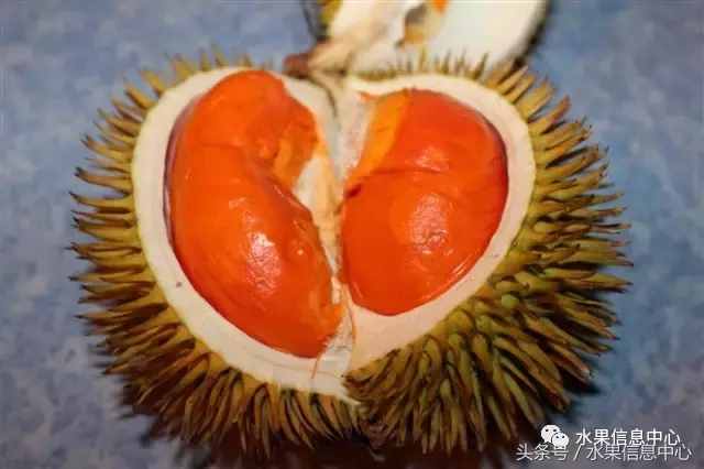 史上最全榴蓮品種產(chǎn)地分類大全