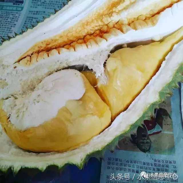 史上最全榴蓮品種產(chǎn)地分類大全