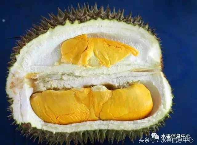 史上最全榴蓮品種產(chǎn)地分類大全