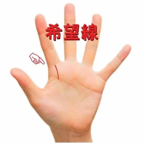 準(zhǔn)到爆的“手相學(xué)”，一分鐘學(xué)會！