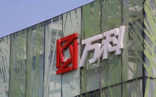 田樸珺情史錄，她為什么嫁給了王石？