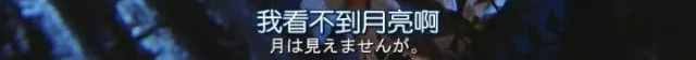 520，教你用各國(guó)語言說“我愛你”