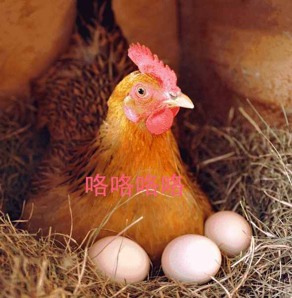 小故事大道理：換個(gè)角度看問題，豁然開朗~